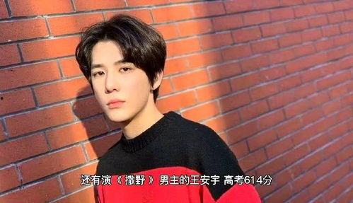 王安宇高中爆料视频,揭秘校园生活幕后真相  第1张